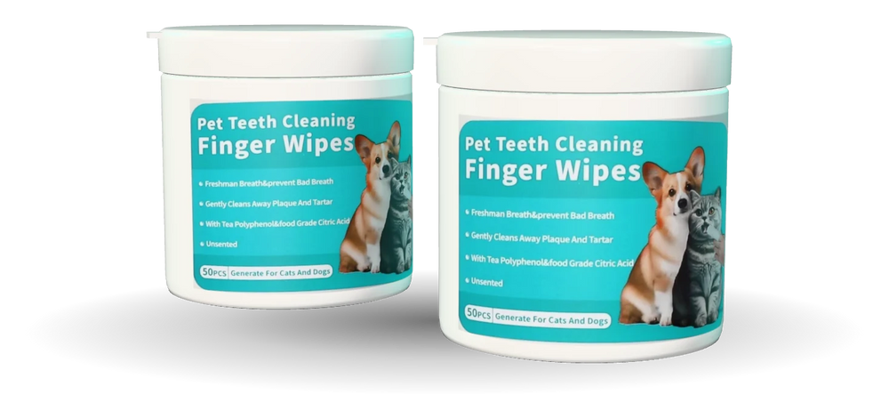 Routine 90 jours : 2 pots, 100 lingettes dentaires doigtier