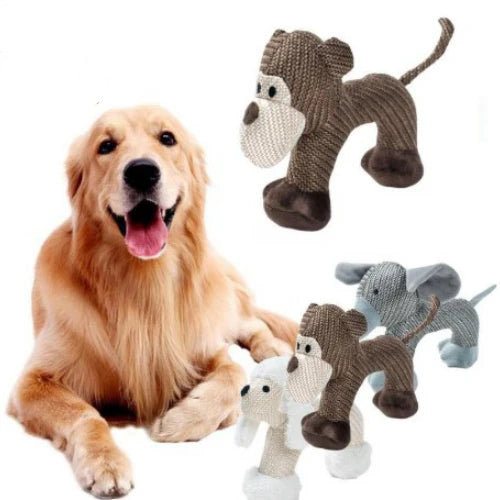 Chien avec ses jouets couineurs en peluche