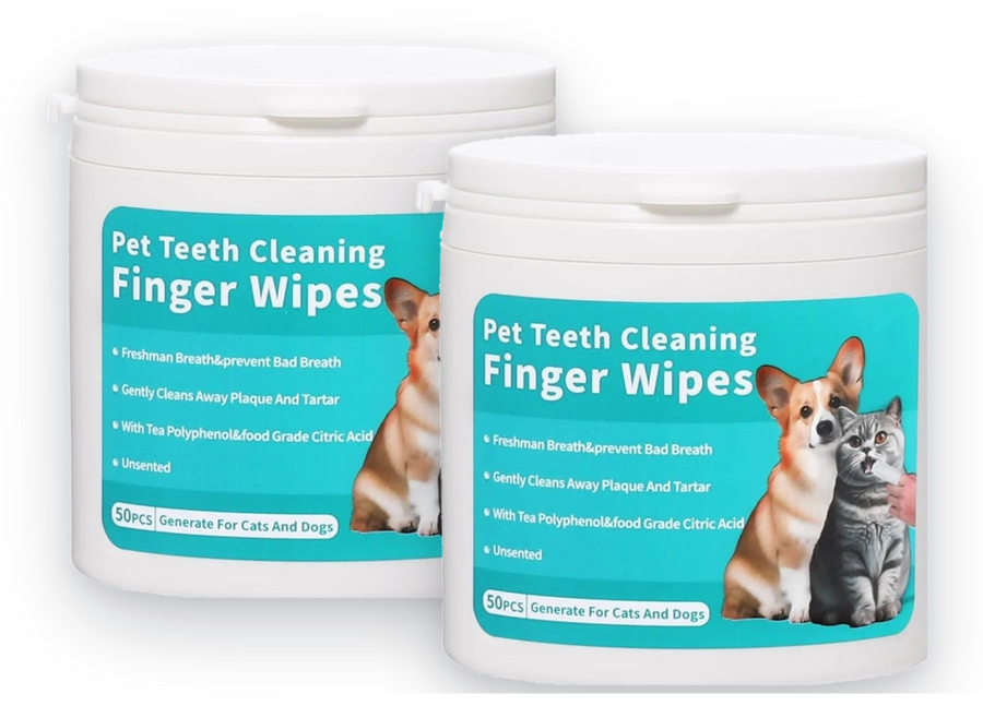 Routine 90 jours : 2 pots, 100 lingettes dentaires doigtier